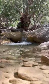 Elvan Özçelik'den Ören Kalem'de Köy Merkezine Yakın Bahçe