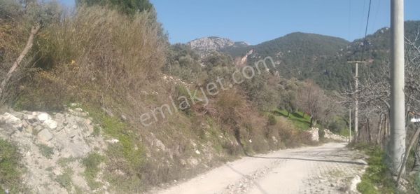 Elvan Özçelik'den Ören Kalem'de Köyiçi İmarında Tarla