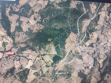 Balıkesir Kepsut Tuzak 4.218m2 Yatırımlık Fırsat Arazi