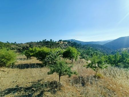 Türe Gayrimenkulden Gülnar Dedelerde Satılık Badem Bahçesi