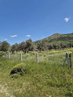 Yeni Köyde Satılık Tarla