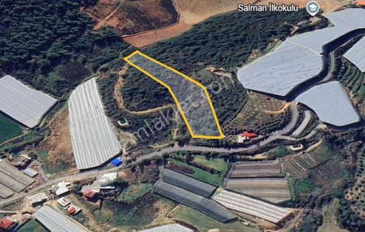 Beyrebucak Salmanda Yola Yakın Uygun Fıyatlı Tarla !