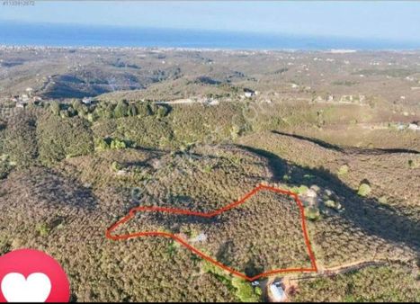 Kocaali Hızar Mah. İçerisinde Bağ Evi Mevcut, Deniz Manzaralı 10 Dönüm Satılık Fındık Bahçesi