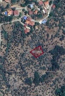 İzmir Bayındır Balcılar Köyünde 550 M2 Satılık Zeytinlik