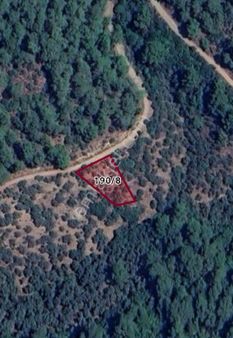 İzmir Bayındır Sarıyurt Köyünde Satılık 723 M2 Zeytinlik