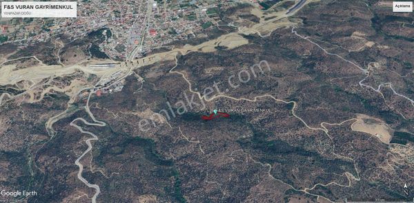 Yenipazar Merkeze 4 Km,100'ün Üzerinde Ağaçlı Verimli Zeytinlik – Takasa Uygun!