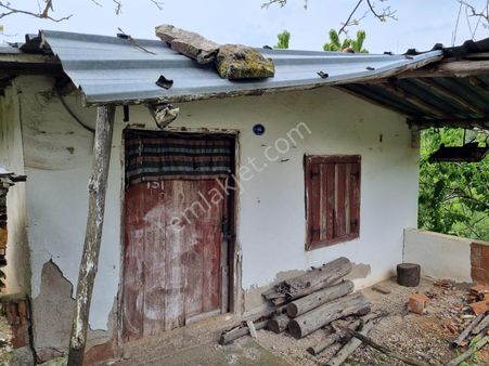 İzmir Bayındır Balcılar Köyünde Satılık 2.372 M2 Kirazlık