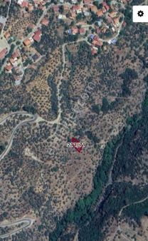 İzmir Bayındır Balcılar Köyünde 332 M2 Satılık Zeytinlik