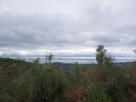 Elmas Gayrimenkul Den Mudanya Talatbeyde Kadastro Yoluna 55 Metre Cepheli