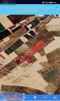 Hacimemiste 19 Dönüm Tarlamız Hisseli Tapu Çiftlik Yapmaya Uygun