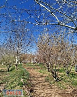 Halkapınar Merkezi Yerde Bahçeli Ev Elektrik Su Aboneliği Mevcut