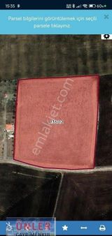 Belceağaçta 50 Evlek Tek Tapulu Tarla