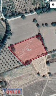 Gökçeyazıda Satılık 5860 Metrekare Tek Tapulu Sulu Bahçe