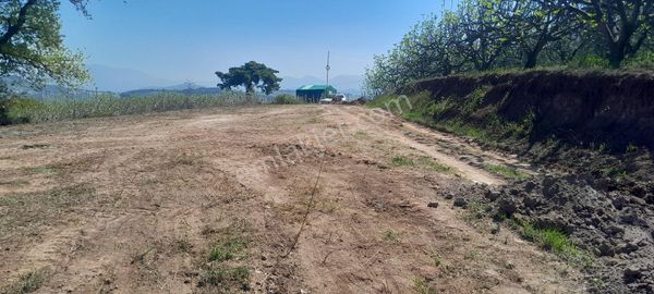 Elmas Gayrimenkul Dan Gündoğduda Manzaralı Satılık Fırsat Tarla