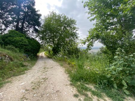 Tire Şahin Gayrimenkulden Küçükkale Köyünde Yatırımlık Arazi