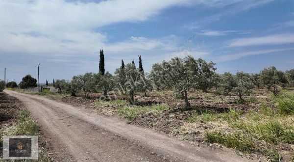 Kapaklı Mahallesi'nde Kadastral Yola Cepheli,7.750m² Kupon Arazi