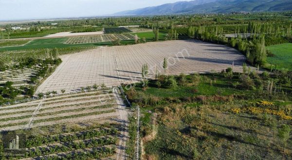 Gama Gayrimenkul'den Afyon Sultandağında Kiraz Bahçesi