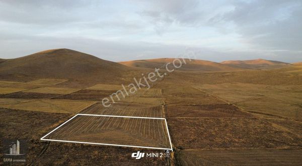 Gama Gayrimenkul'den Verimli Ekili Kare Şeklinde Düz Tarla