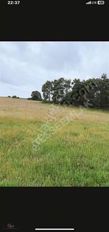 Silivri Çayırdere Satılık Tarla