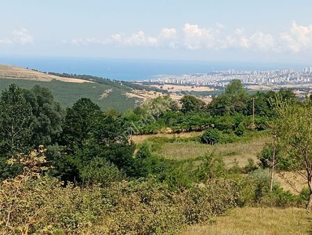 Yukarıaksu'da Satılık Atakum Ve Deniz Manzaralı Tarla