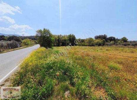 Aydın Kuşadası Çınar Yüksek Potansiyelli Turizm Arazisi !