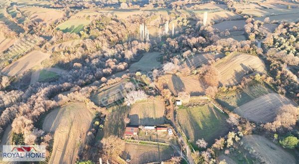 Lapseki Güreci' De Sahile 5 Km Mesafede Köye Yakın Yolu Mevcut