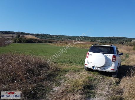 Karacabey Çamlıca'da Önü Hazine Arazisi Asfalta 2. Parsel