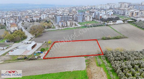 Nilüfer Görükle'de İmara 1 Parsel Mesafede Fırsat Tek Arazi