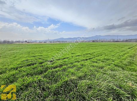 Bolu Yukarısoku Mah.de 3 Kat Tercihli Ticari İmarlı Satılık Arsa