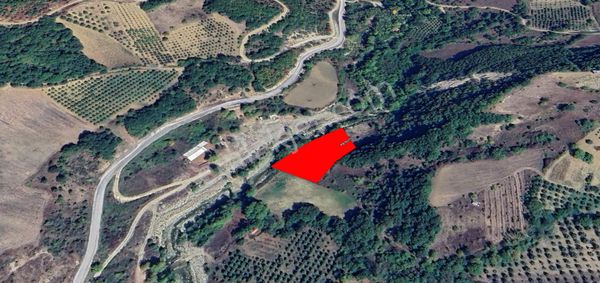 Roma' Dan Doğanyurdu' Nda Satılık Tarla