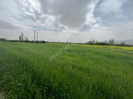Erden Emlaktan Atsızda Satılık Tarla
