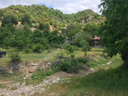 Antika Gayrimenkul'den Burdur Altınyayla'da Satılık Tarla