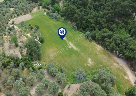 Karaburun İnecik Mahallesi'nde 17.180 M² Satılık Arazi