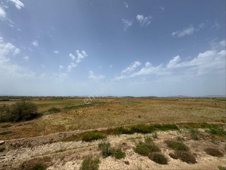 Menemen Süzbeyli Köyü Yakını Satılık Tarla