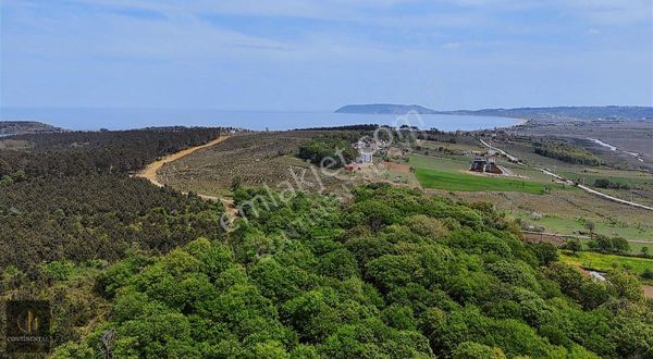 Sinop Merkez Abalı Satılık Arsa