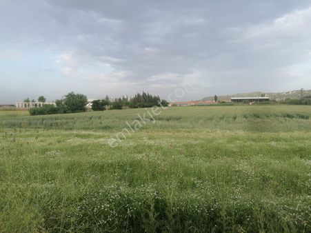 Satılık Arsa Yaşar Emlâk Tan