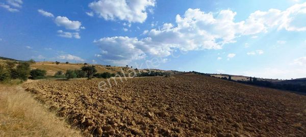 Gediz Yukarısusuz Köyü 5.190m2 Yatırımlık Eğimsiz Satılık Arsa