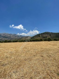 Muğla Milas Gölyaka'da Satılık Düz Tarla