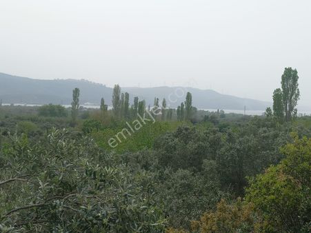 Erdek Hamamlı Mahallesinde Deniz Manzaralı 2.670m2 Satılık Arazi