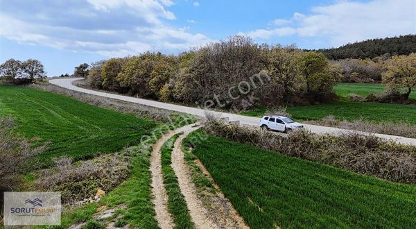 Erikli Sahil Yolu Üzerinde Satılık 2.550 M2 Tarla