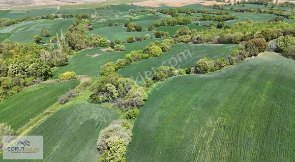 Mecidiye Sahil Bölgesinde 5.000 M2 Resmi Yola Cephe Tarla