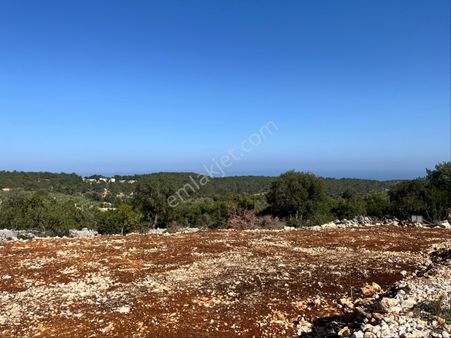 Susanoğlu Türkmenuşağında Deniz Manzaralı Satılık Tarla