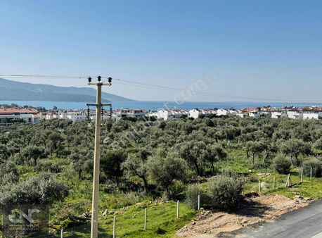 Önü Yeşil Alan Deniz Manzaralı Masrafsız 4+1 Yazlık