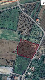 Aydın Erbeyli'de 17 Dönüm Satılık İncir Bahçesi