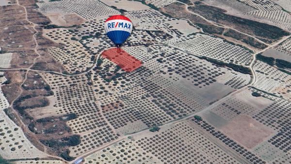 Manisa Soma Karacakaş Mahallesi'nde 2927 M2 Satılık Zeytinli Tarla