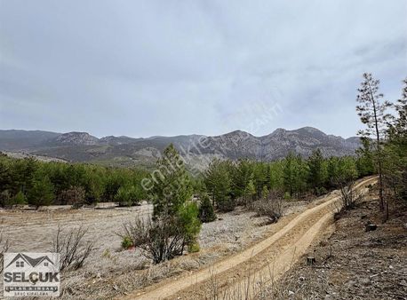 Selçuk Emlak'tan Alpu'da Fakülte Cvr Satılık Köşebaşı Arsa