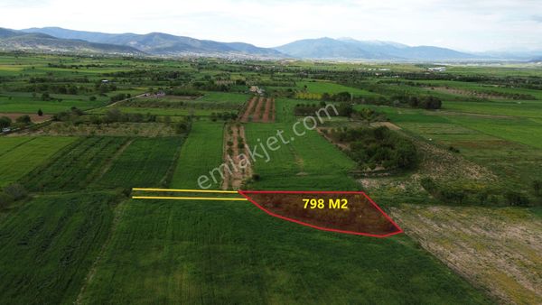 Korkuteli Yeltende Acil Satılık Hazır Yetişmiş Ağaçları İle Sulak Bahçee