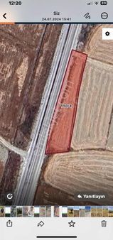 Evrim Emlak'tan İlçe Asfaltına Sıfır Satılık Tarla