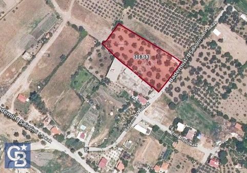 Coldwell Banker'dan Bademli'de Merkezde Satılık Zeytinlik