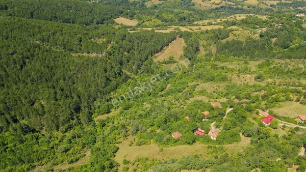 Kastamonu Araç Köyiçinde 1.263 M² İmarlı Köyiçi